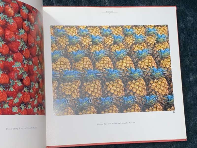 3-D PLANET THE WORLD AS SEEN THROUGH STEREOGRAMS BY HIROSHI KUNOH & EIJI TAKAOKI