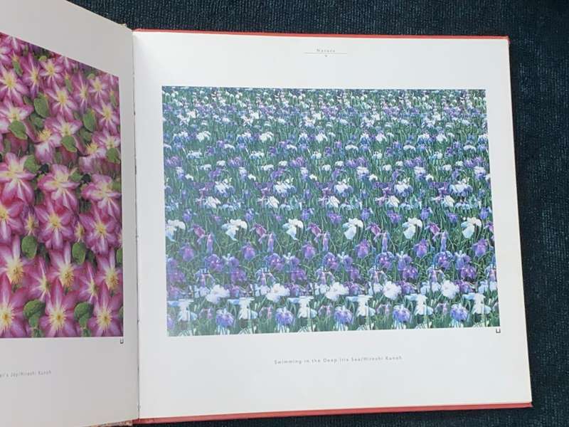 3-D PLANET THE WORLD AS SEEN THROUGH STEREOGRAMS BY HIROSHI KUNOH & EIJI TAKAOKI