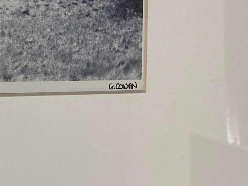 ORIGINAL LARGE FRAMED PHOTO OF THE WILD HORSES OF NAMIBIA BY PHOTOGRAPHER G. COWAN SIGNED