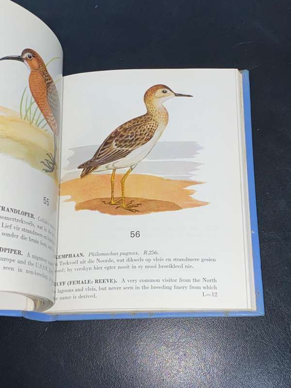 SOME PROTECTED BIRDS OF THE CAPE PROVINCE 1967