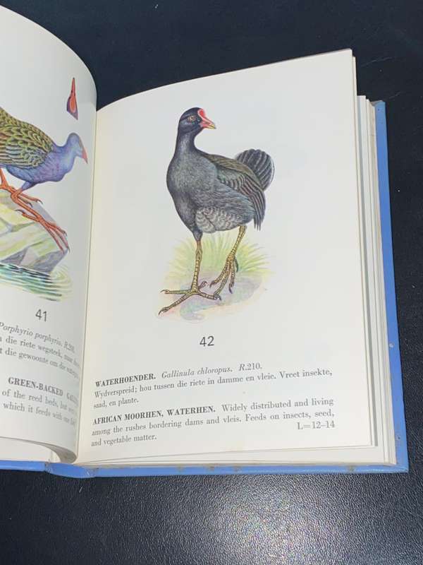 SOME PROTECTED BIRDS OF THE CAPE PROVINCE 1967