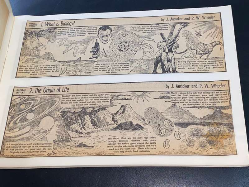 NATURAL HISTORY IN PICTURES AS PUBLISHED IN THE CAPE ARGUS
