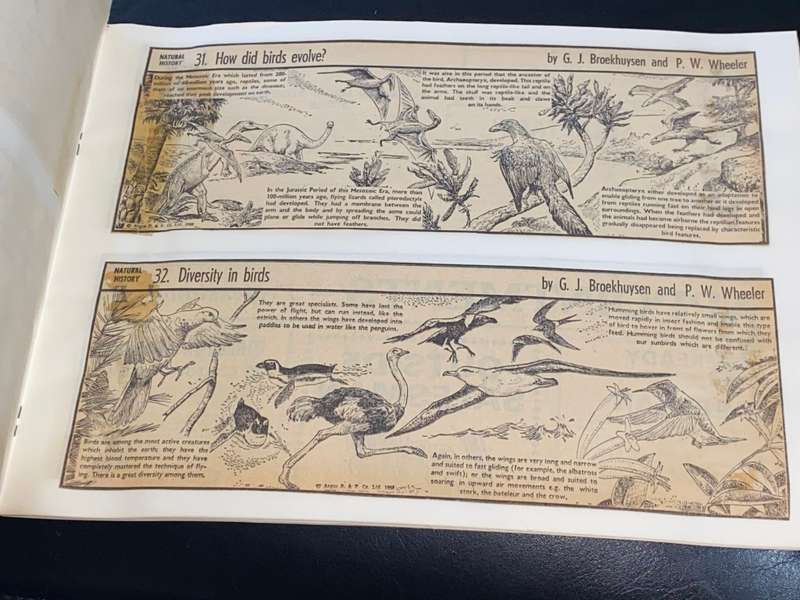 NATURAL HISTORY IN PICTURES AS PUBLISHED IN THE CAPE ARGUS