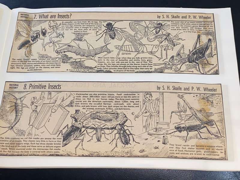 NATURAL HISTORY IN PICTURES AS PUBLISHED IN THE CAPE ARGUS