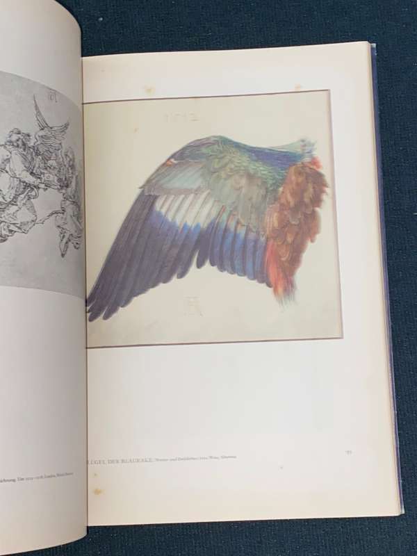 DURER ALS ZEICHNER DIE BLAUEN BUCHER
