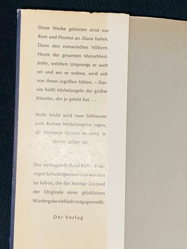 MICHELANGELO DIE BLAUEN BUCHER