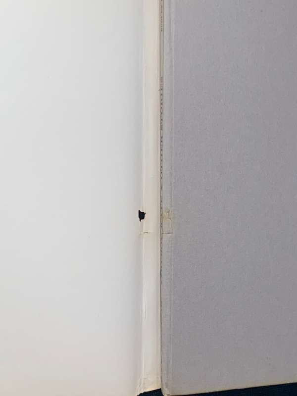 COWBOY KATE & OTHER STORIES BY SAM HASKINS