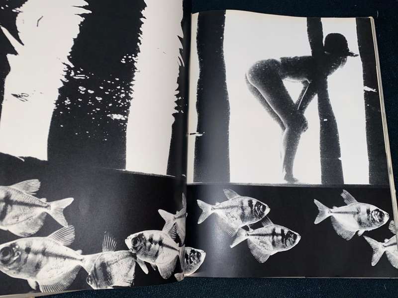 COWBOY KATE & OTHER STORIES BY SAM HASKINS