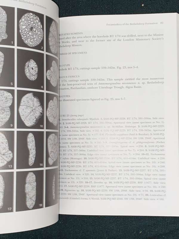 THE FORAMINIFERA OF THE PORTLANDIAN (LATE JURASSIC) BETHELSDORP FORMATION OF THE ONSHORE ALGOA BASIN