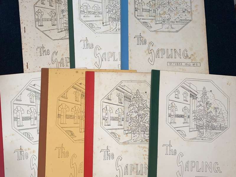 THE SAPLING X 7 VINTAGE ISSUES