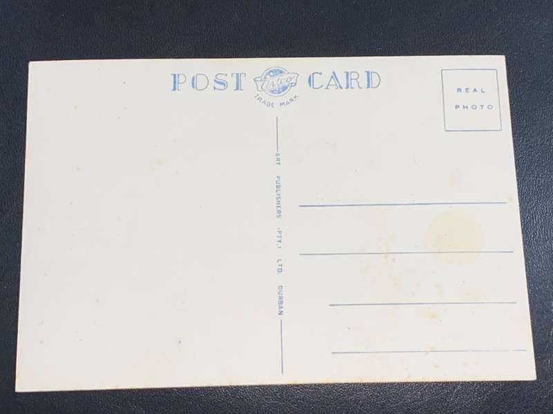 VINTAGE GIRAFFE DURBAN POST CARD PHOTO