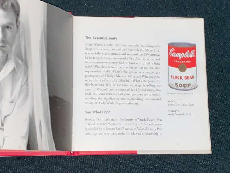 THE ESSENTIAL ANDY WARHOL