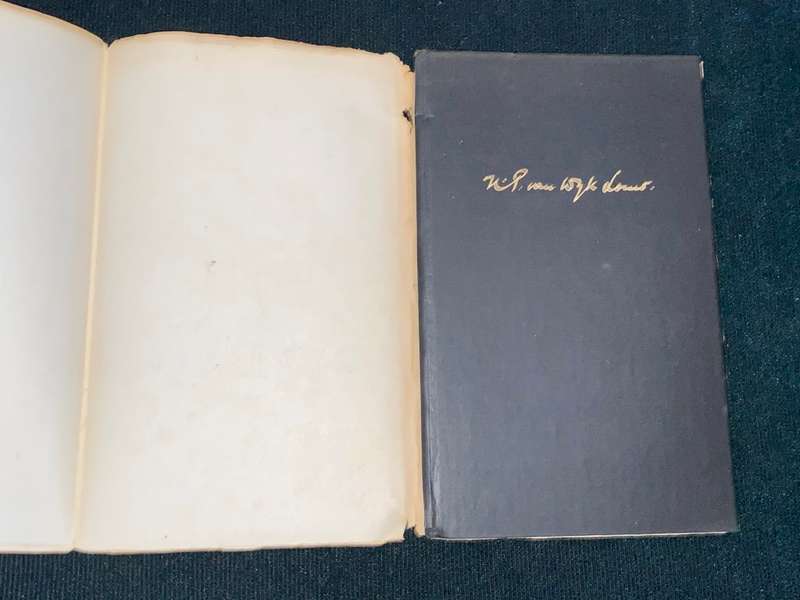 DIE DIEPER REG DEUR N.P. VAN WYK LOUW