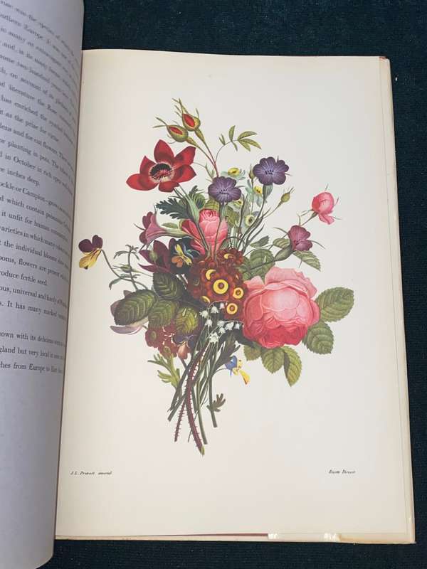 BOUQUETS JEAN LOUIS PREVOST 1760-1810