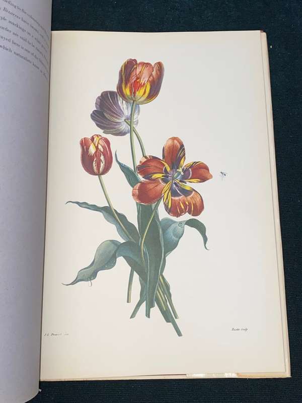 BOUQUETS JEAN LOUIS PREVOST 1760-1810