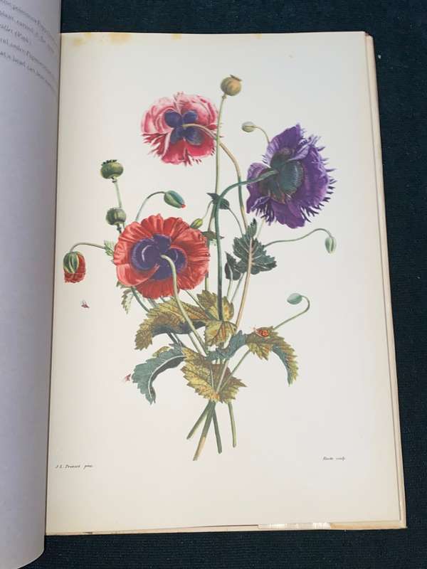 BOUQUETS JEAN LOUIS PREVOST 1760-1810