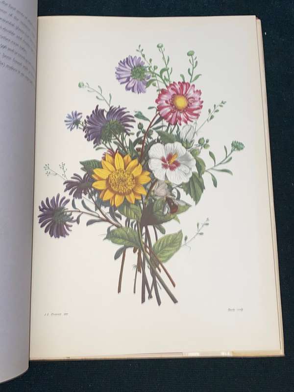 BOUQUETS JEAN LOUIS PREVOST 1760-1810