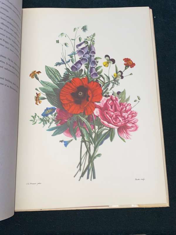 BOUQUETS JEAN LOUIS PREVOST 1760-1810