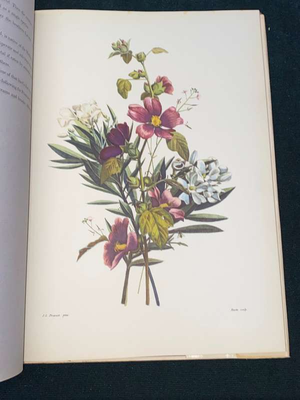 BOUQUETS JEAN LOUIS PREVOST 1760-1810