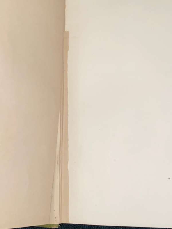SOME SOUTH AFRICAN RECOLLECTIONS BY MRS. LIONEL PHILLIPS 1899 EX-LIBRARY COPY