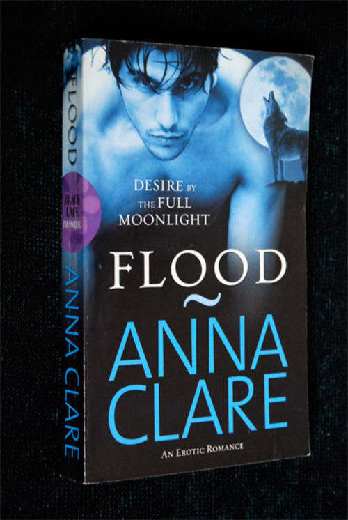 FLOOD BY ANNA CLARE EROTIC FICTION