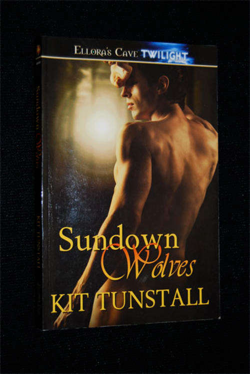 SUNDOWN WOLVES BY KIT TUNSTALL EROTIC FICTION