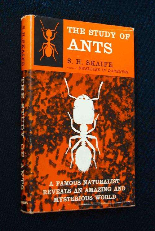 THE STUDY OF ANTS BY S.H. SKAIFE