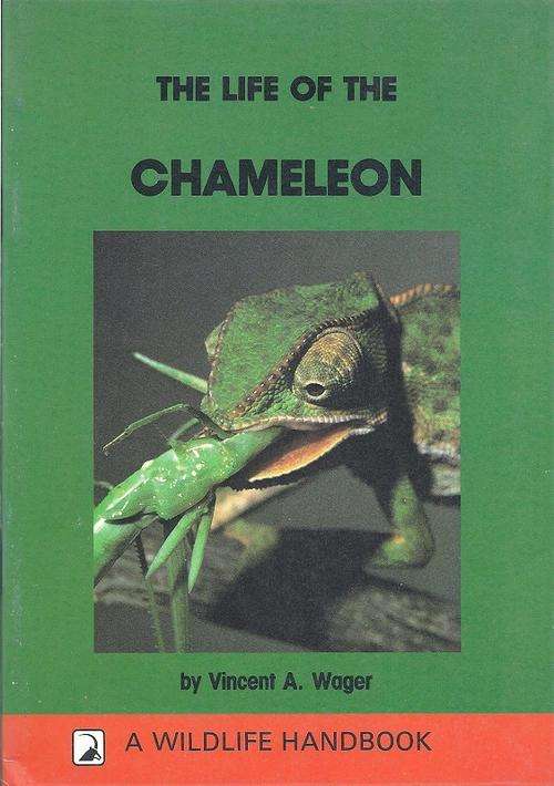 THE LIFE OF THE CHAMELEON - VINCENT A. WAGER (A WILDLIFE HANDBOOK)