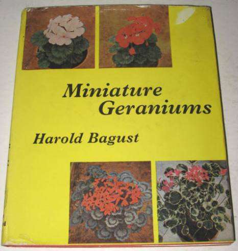 MINIATURE GERANIUMS BY HAROLD BAGUST