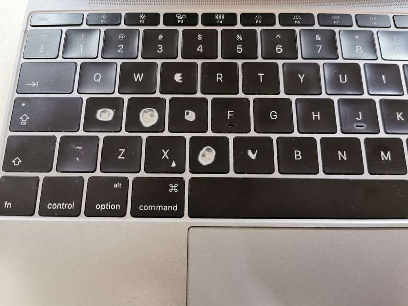 APPLE MACBOOK CORE M5 - 8GB RAM - 256GB SSD - 12" RETINA DISPLAY