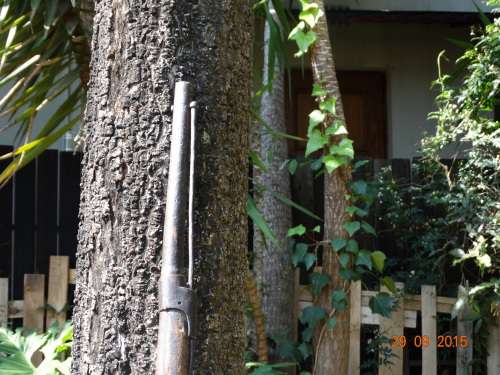 Rare Antique Rifle - Battle of Blood River (?)