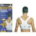 Power magnetic posture support