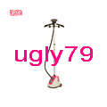 Professional garment steamer