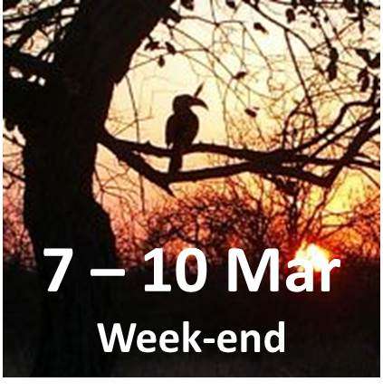 Hoedspruit week-end   -   8 person lodge