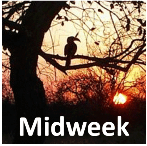 Hoedspruit midweek   -   8 person lodge