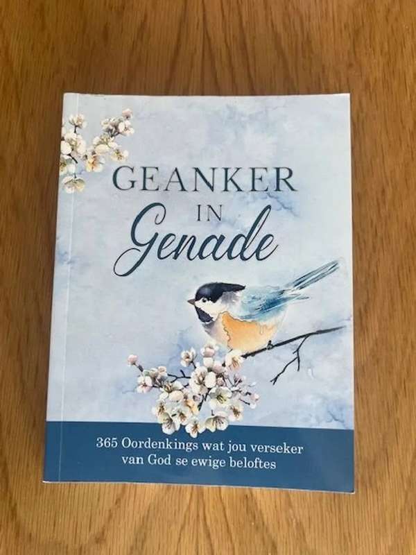 Geanker in Genade. 365 oordenkings wat jou verseker van God se beloftes
