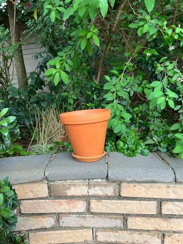 Used Terracotta clay pot for inside or outside use