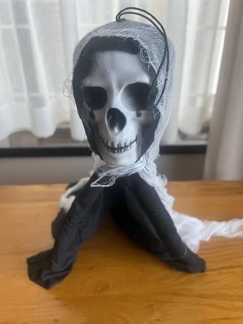 HALLOWEEN decorations