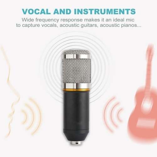 M900 Professional Condenser Microphone