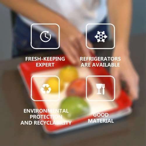 Food Preservation Tray Storage Container