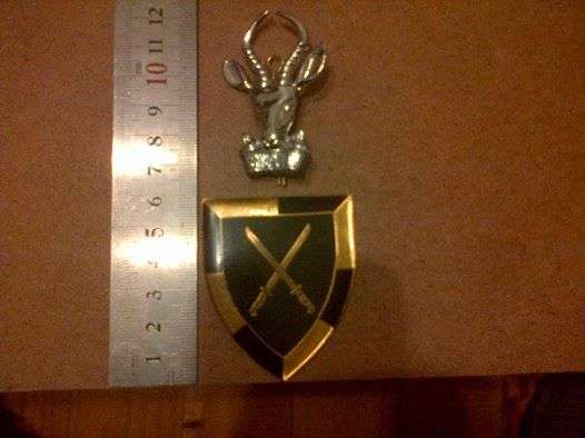 Sadf Infantry Combo