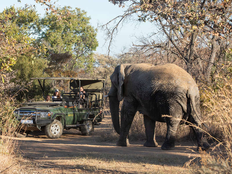 7 night 8 sleeper holiday accommodation unit at Mabula big-5 game reserve 12-19 July
