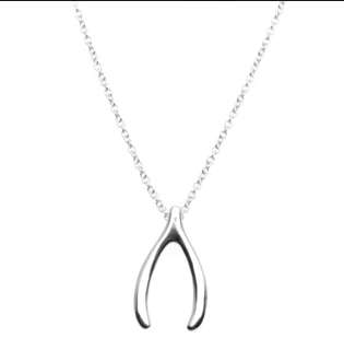 Gorgeous Wishbone pendant and chain