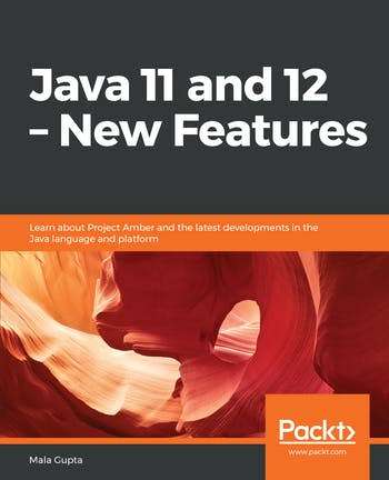 Java Programming Java EE, Microservices and Testing Bundle