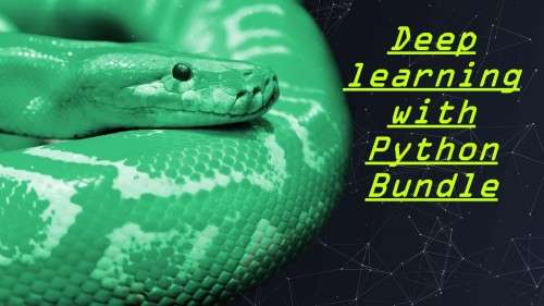 Deep learning with Python Bundle