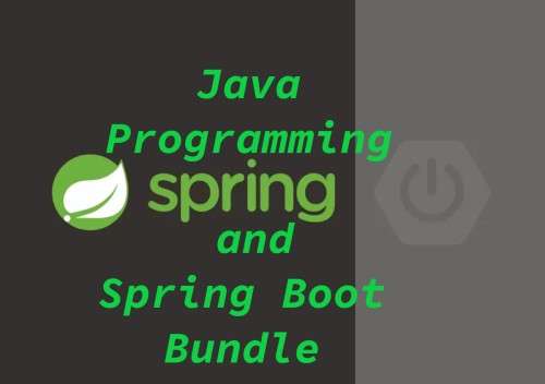 SPECIAL!!Java Programming Spring and Spring Boot Bundle