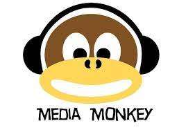MediaMonkey Lifetime edition software license