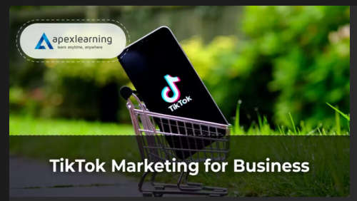 TikTok marketing business course