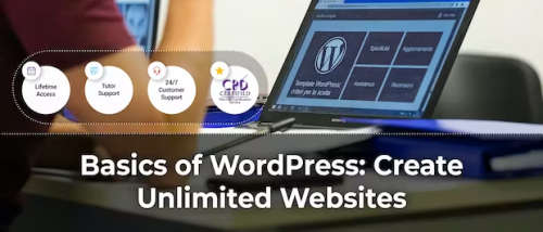 Basics of WordPress: Create Unlimited Websites COURSE