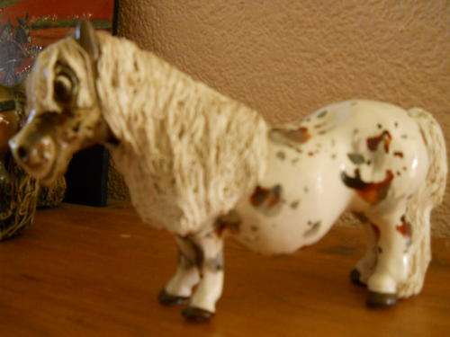 Beautiful cheval pony - VERY LATE ENTRY!!!